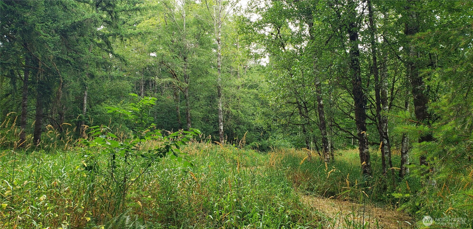 196 Jensen Road Onalaska, WA 98570 - Photo 19 of 37