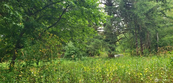 $100,000 | 196 Jensen Road, Onalaska, WA 98570