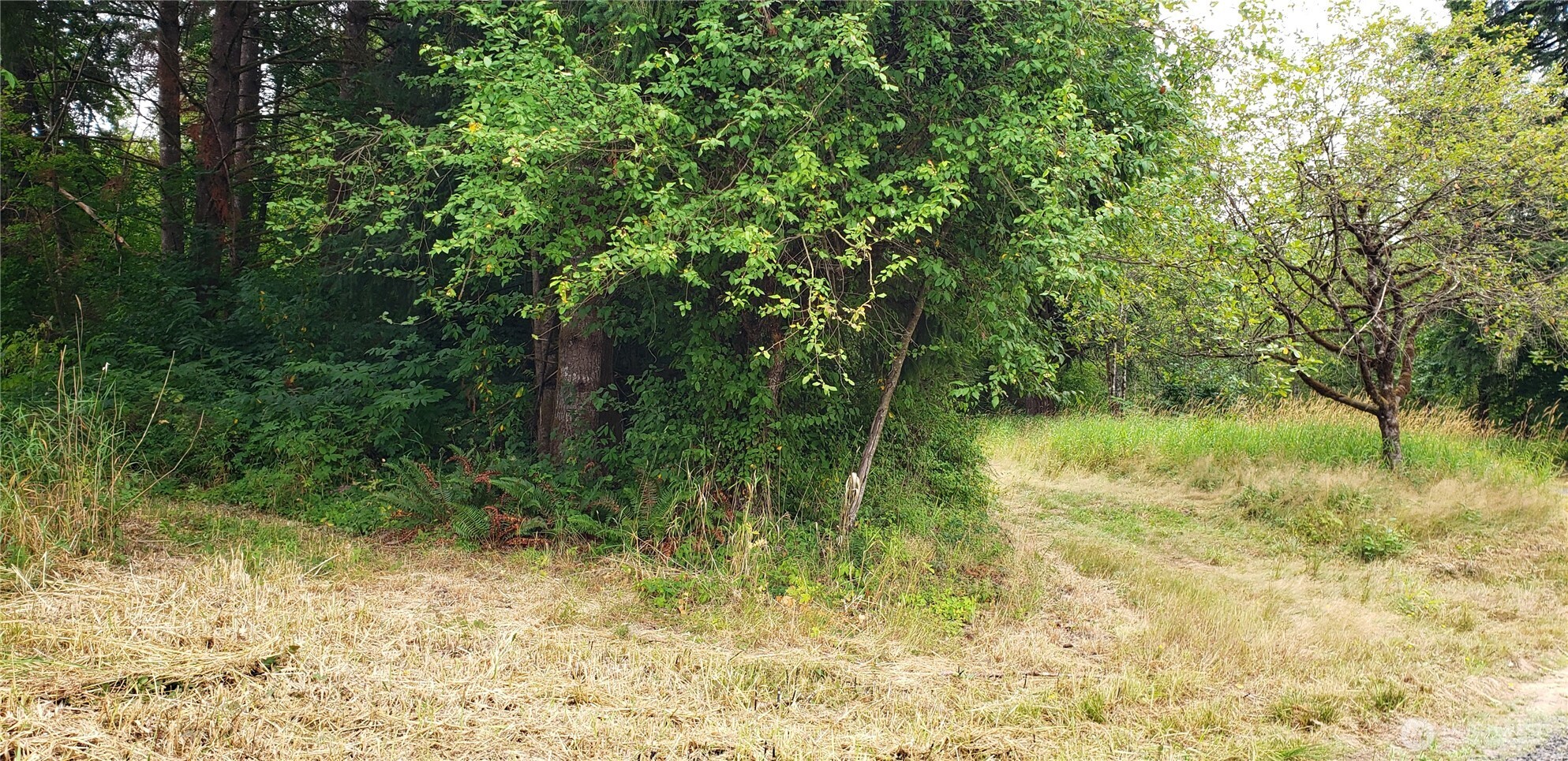 196 Jensen Road Onalaska, WA 98570 - Photo 2 of 37