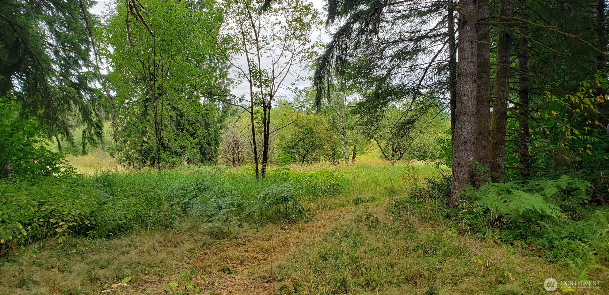 196 Jensen Road Onalaska, WA 98570 - Photo 21 of 37