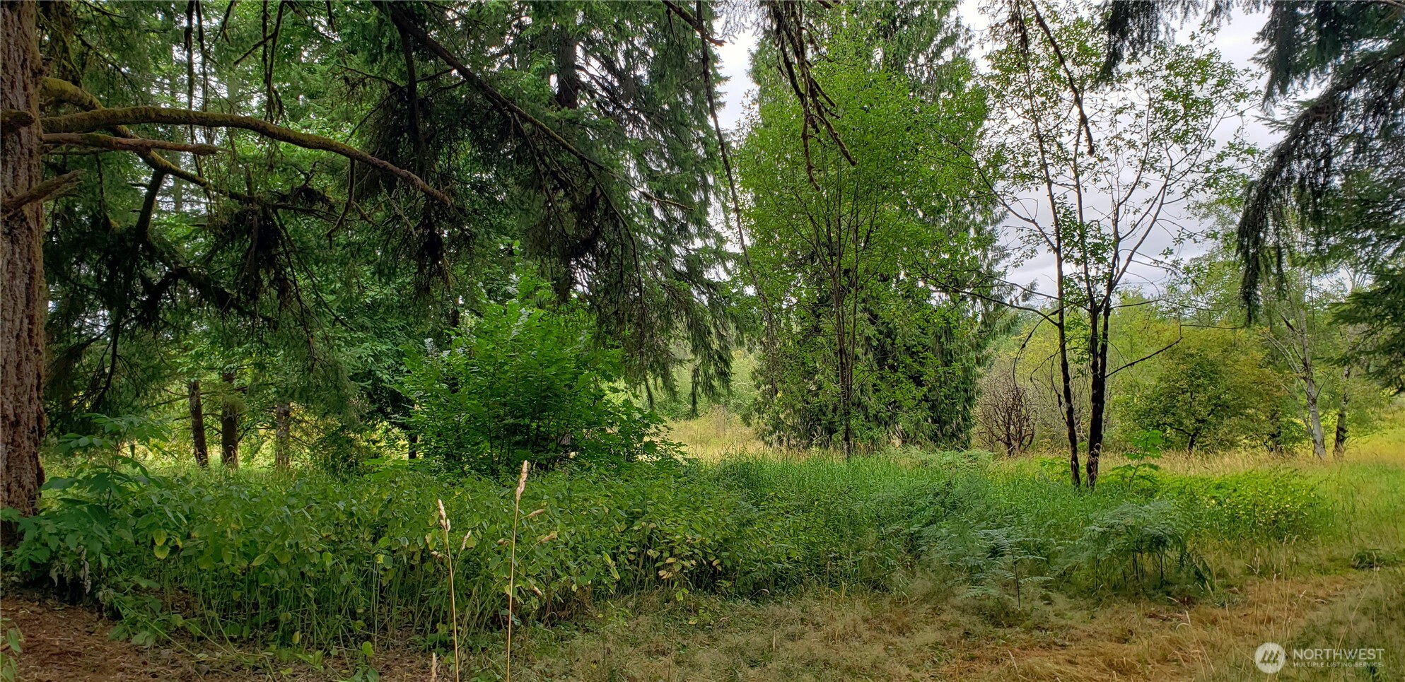 196 Jensen Road Onalaska, WA 98570 - Photo 22 of 37