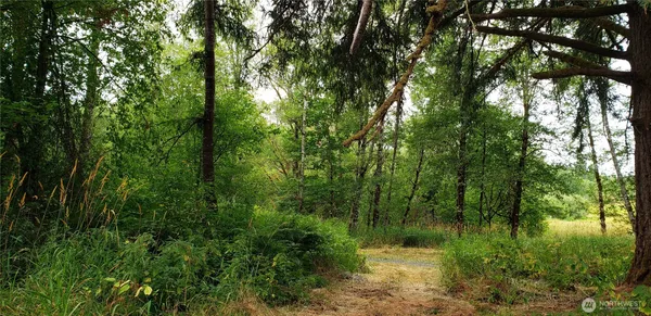$100,000 | 196 Jensen Road, Onalaska, WA 98570