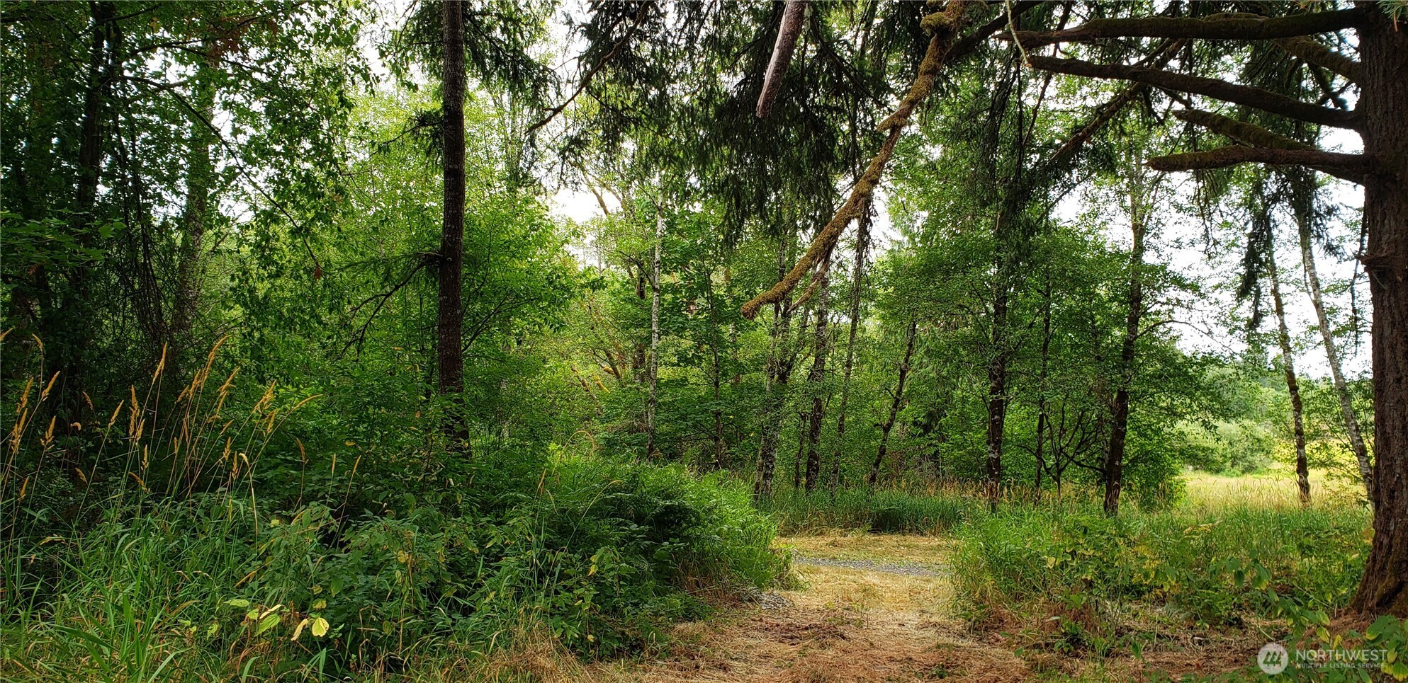 196 Jensen Road Onalaska, WA 98570 - Photo 23 of 37