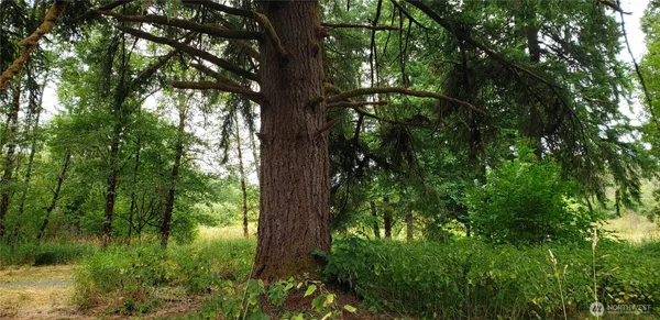 $100,000 | 196 Jensen Road, Onalaska, WA 98570