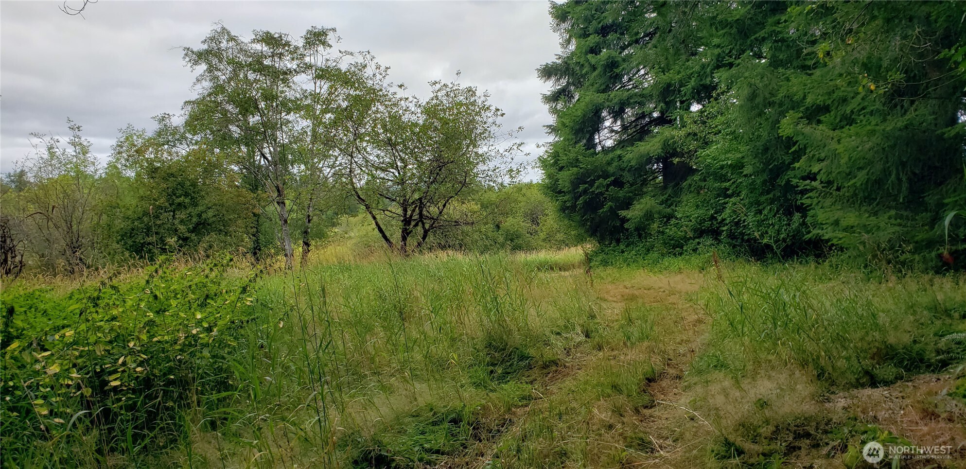 196 Jensen Road Onalaska, WA 98570 - Photo 25 of 37