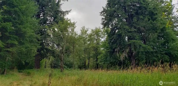 $100,000 | 196 Jensen Road, Onalaska, WA 98570