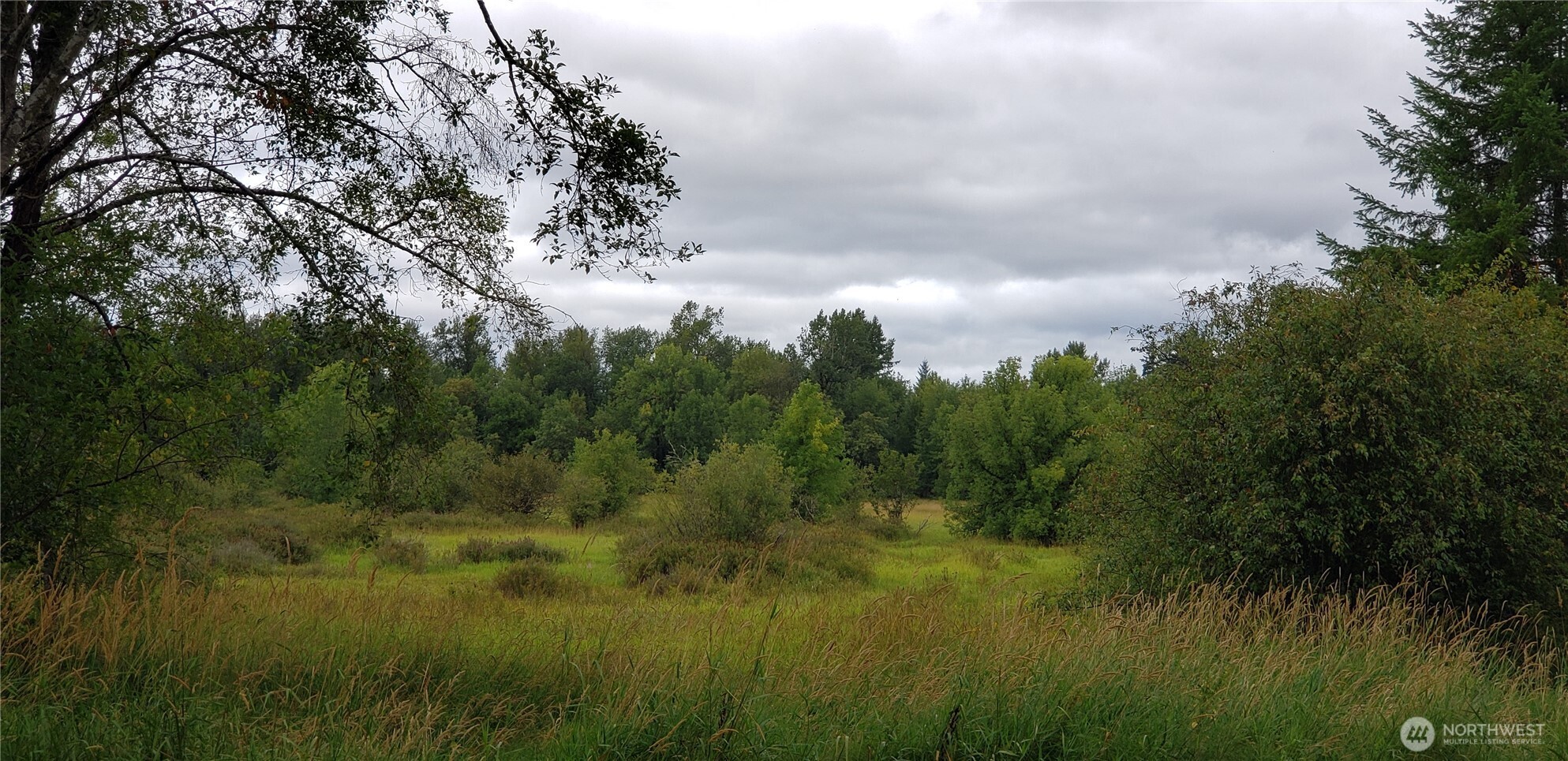 196 Jensen Road Onalaska, WA 98570 - Photo 27 of 37