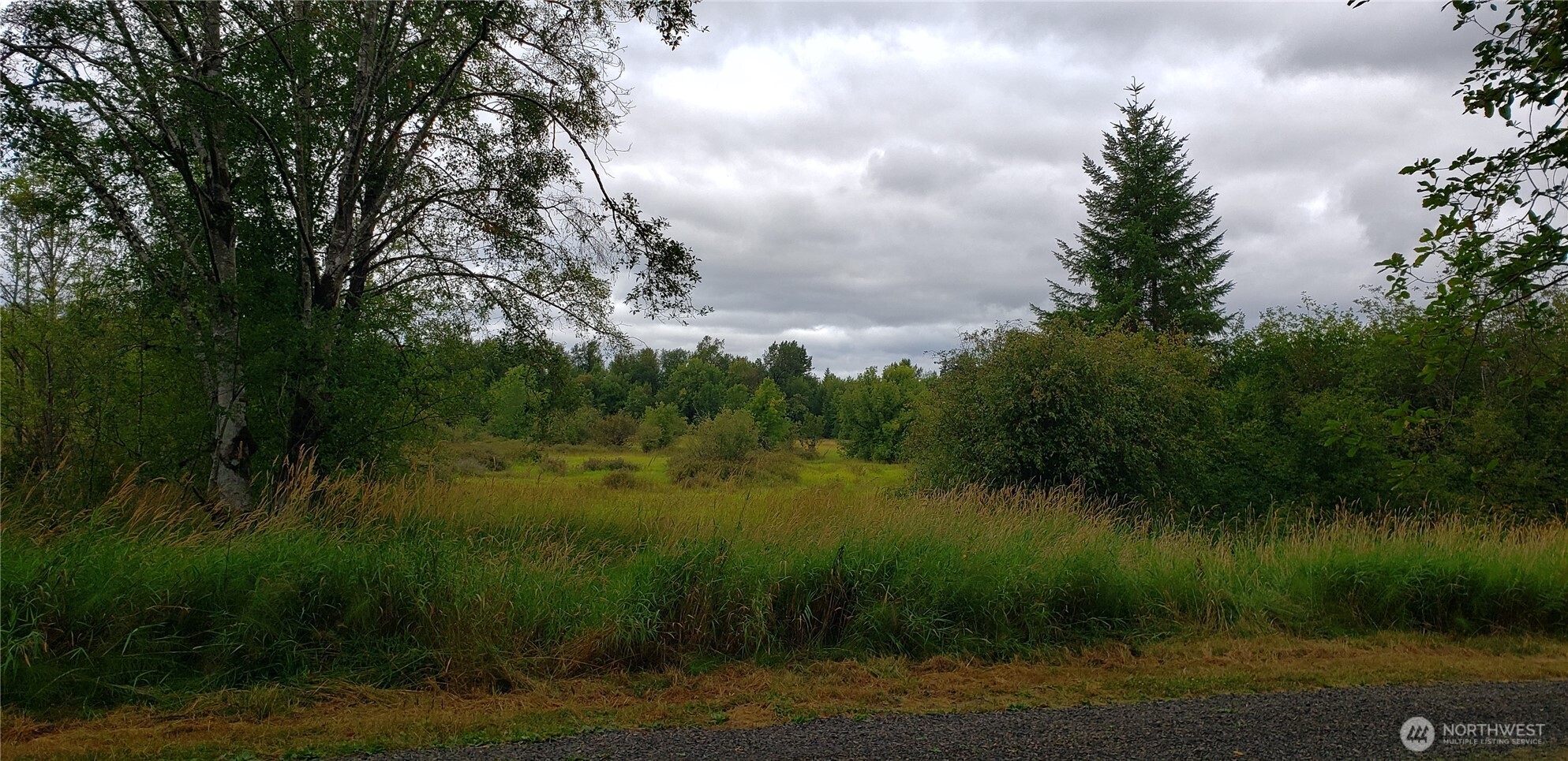 196 Jensen Road Onalaska, WA 98570 - Photo 28 of 37