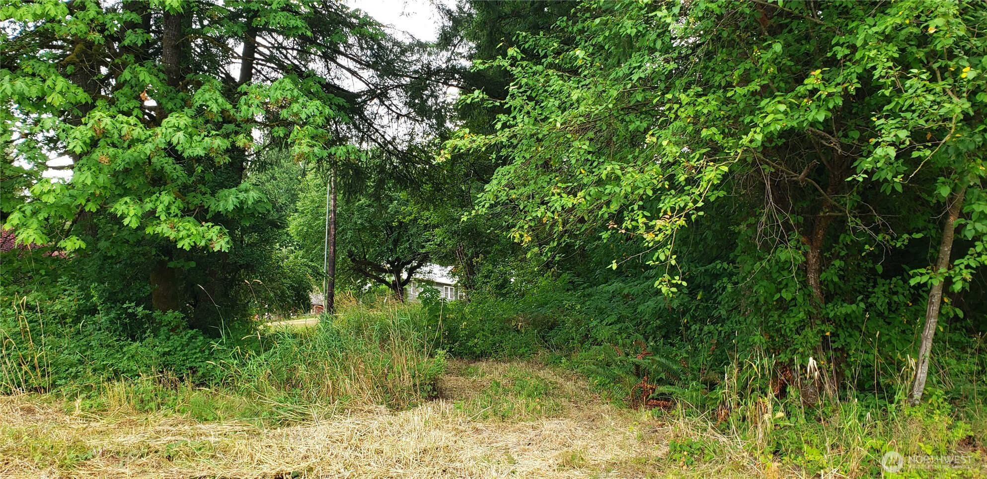 196 Jensen Road Onalaska, WA 98570 - Photo 29 of 37