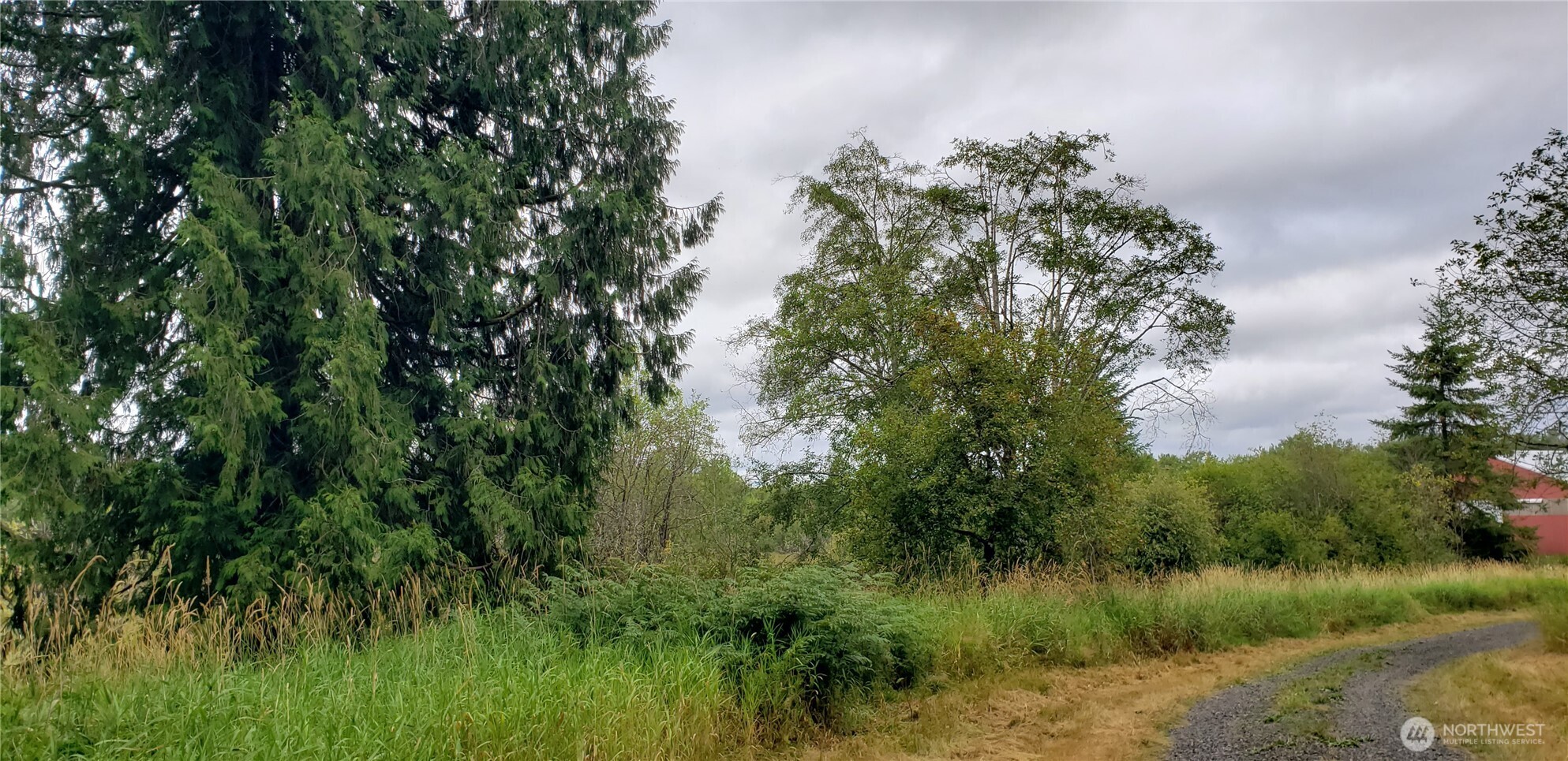 196 Jensen Road Onalaska, WA 98570 - Photo 3 of 37