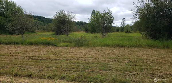 $100,000 | 196 Jensen Road, Onalaska, WA 98570