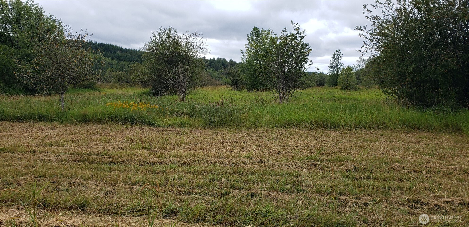 196 Jensen Road Onalaska, WA 98570 - Photo 31 of 37