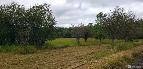 $100,000 | 196 Jensen Road, Onalaska, WA 98570