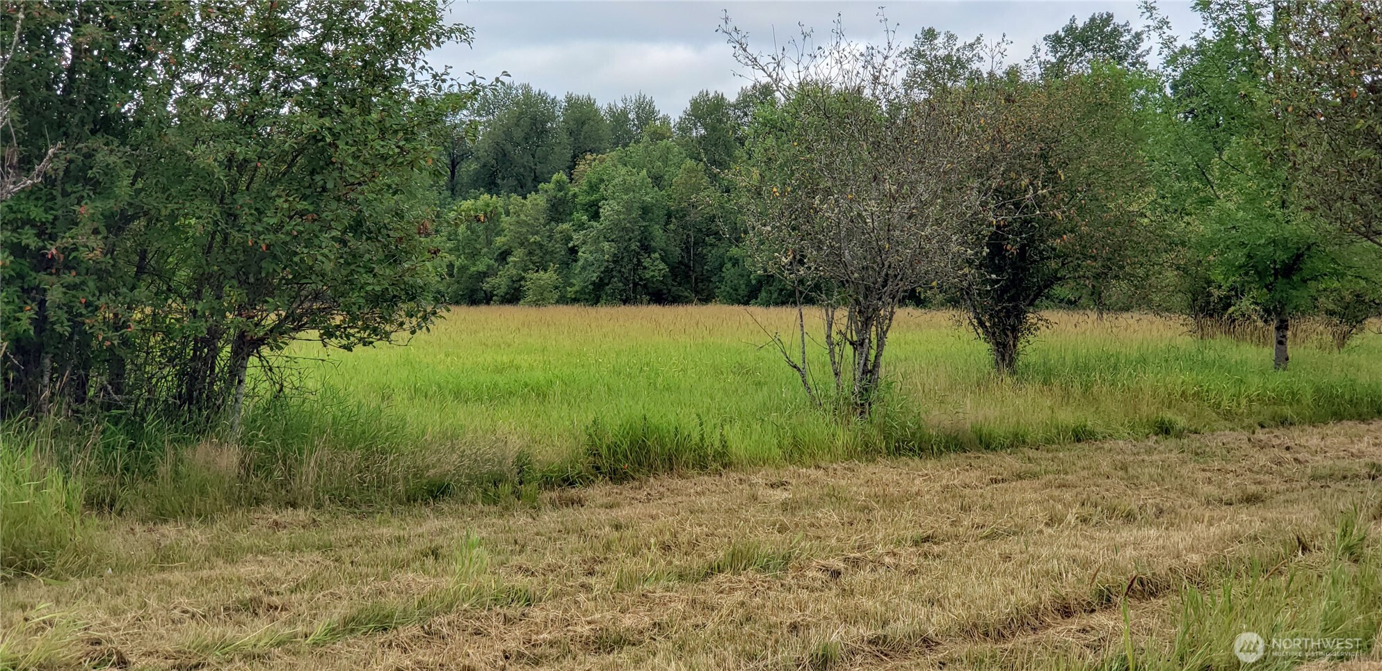 196 Jensen Road Onalaska, WA 98570 - Photo 33 of 37