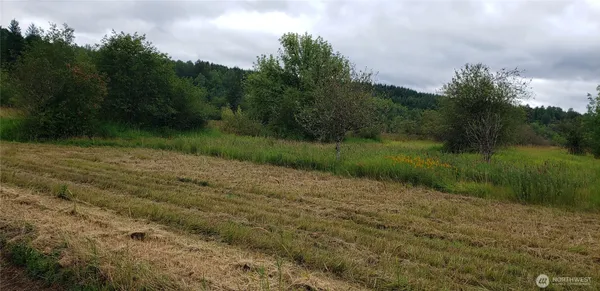 $100,000 | 196 Jensen Road, Onalaska, WA 98570