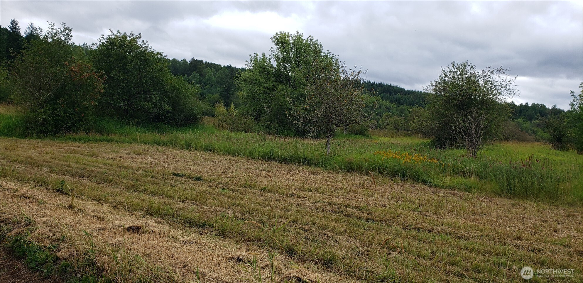 196 Jensen Road Onalaska, WA 98570 - Photo 34 of 37