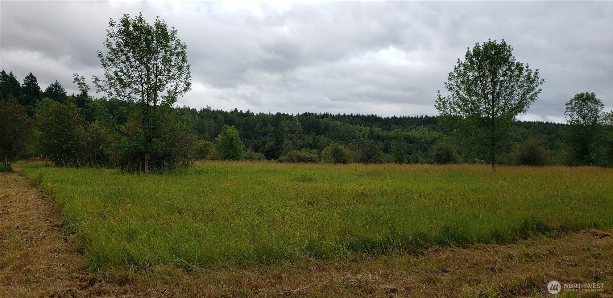 196 Jensen Road Onalaska, WA 98570 - Photo 35 of 37