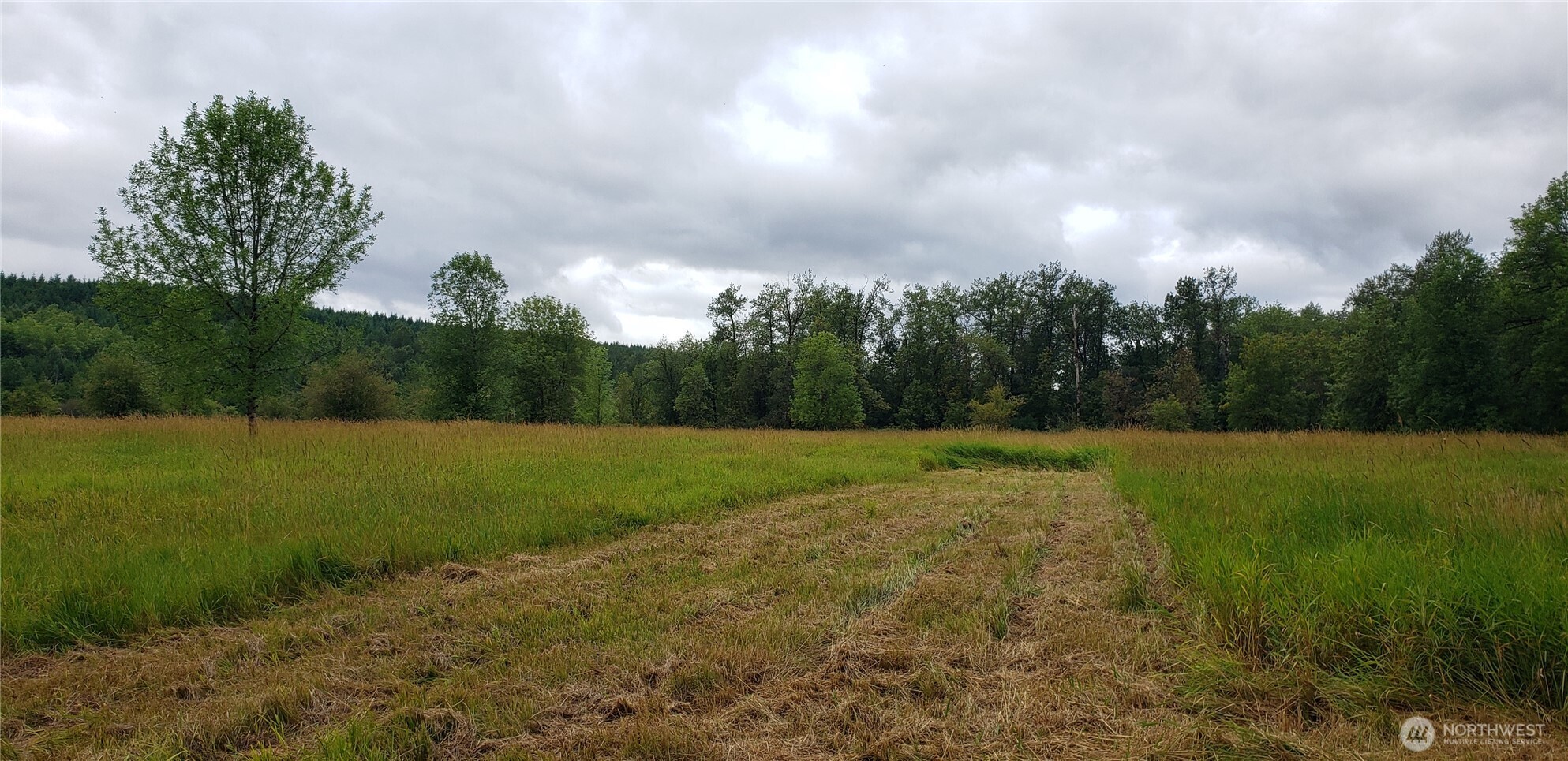 196 Jensen Road Onalaska, WA 98570 - Photo 36 of 37