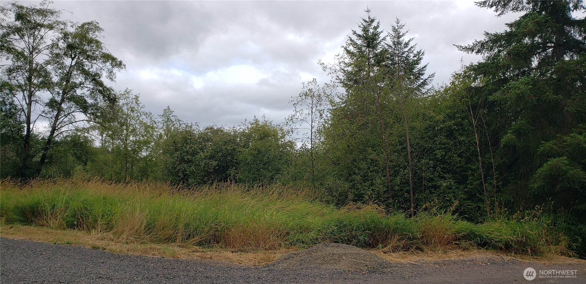 196 Jensen Road Onalaska, WA 98570 - Photo 8 of 37