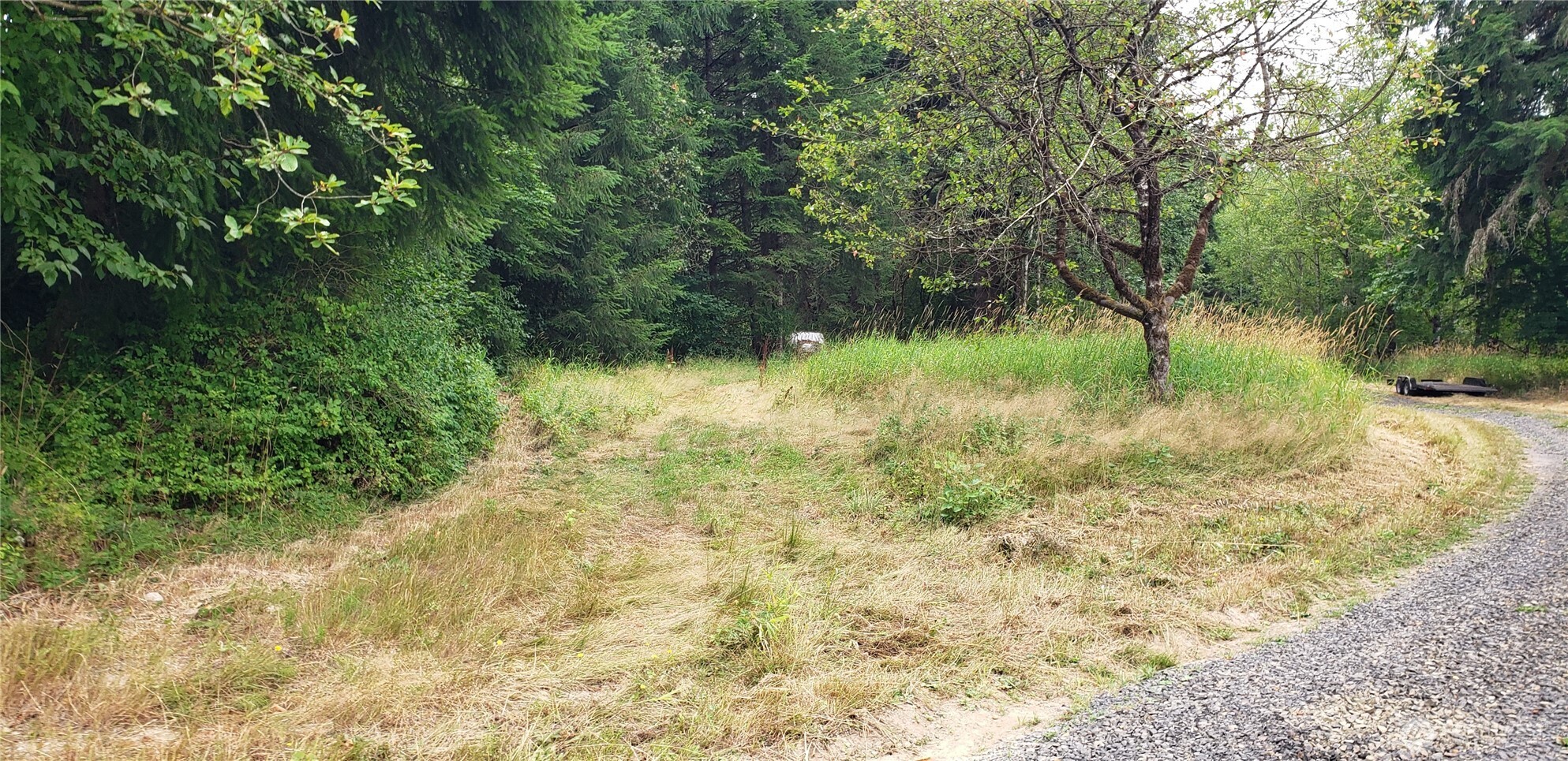 196 Jensen Road Onalaska, WA 98570 - Photo 9 of 37