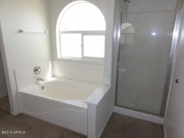 12929 West Cheery Lynn Road Avondale, AZ 85392 - Photo 15 of 24 Master Bath