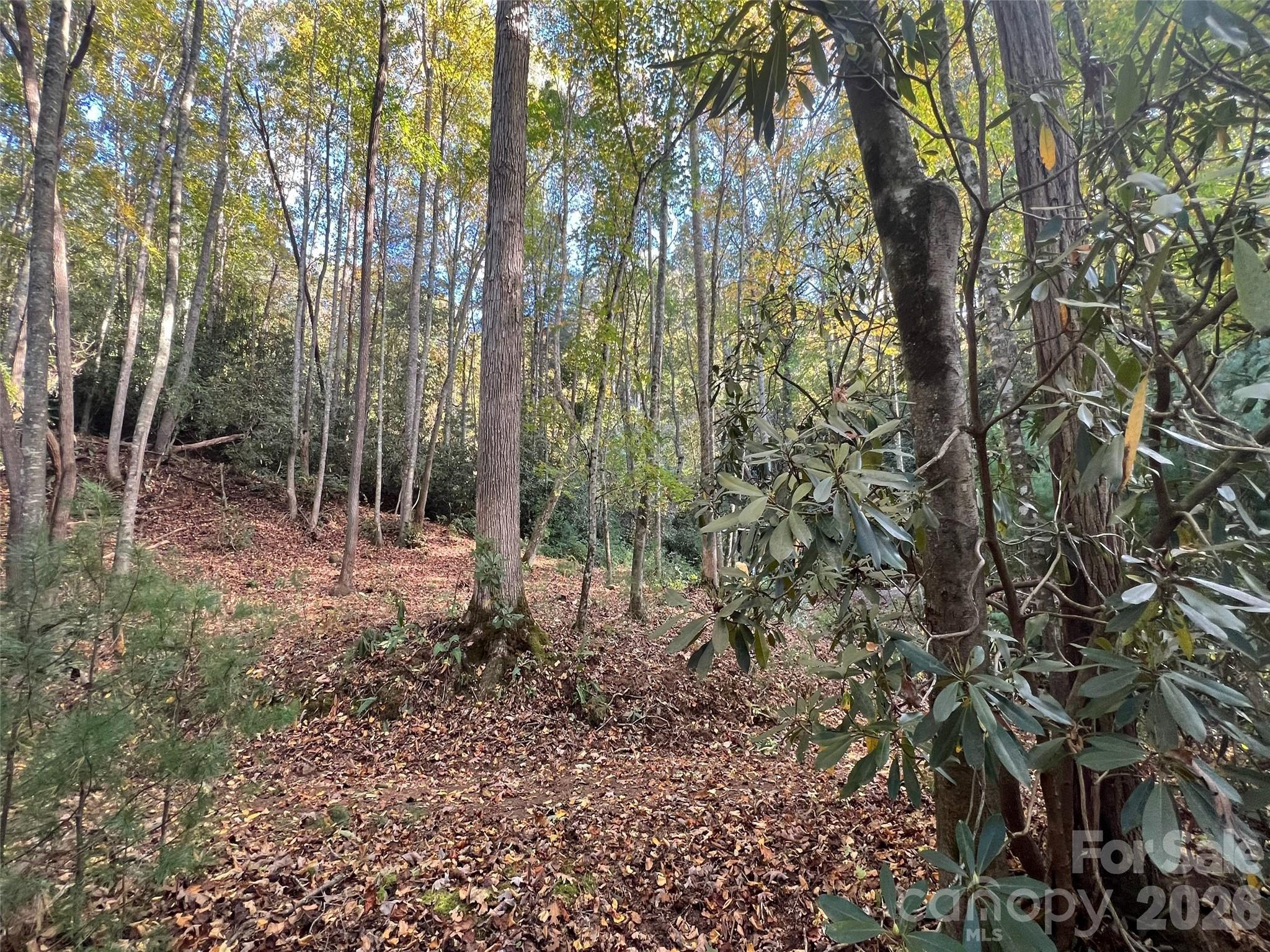 6 Dividing Ridge Trail, Unit 1 Arden, NC 28704 - Photo 5 of 18
