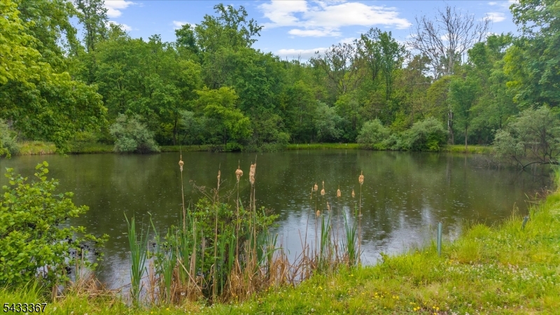 650 Woodglen Road Glen Gardner, NJ 08826 - Photo 20 of 28 a view of a lake with a yard