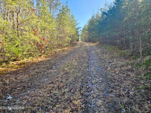 $425,000 | Genesis Road, Lancing, TN 37770