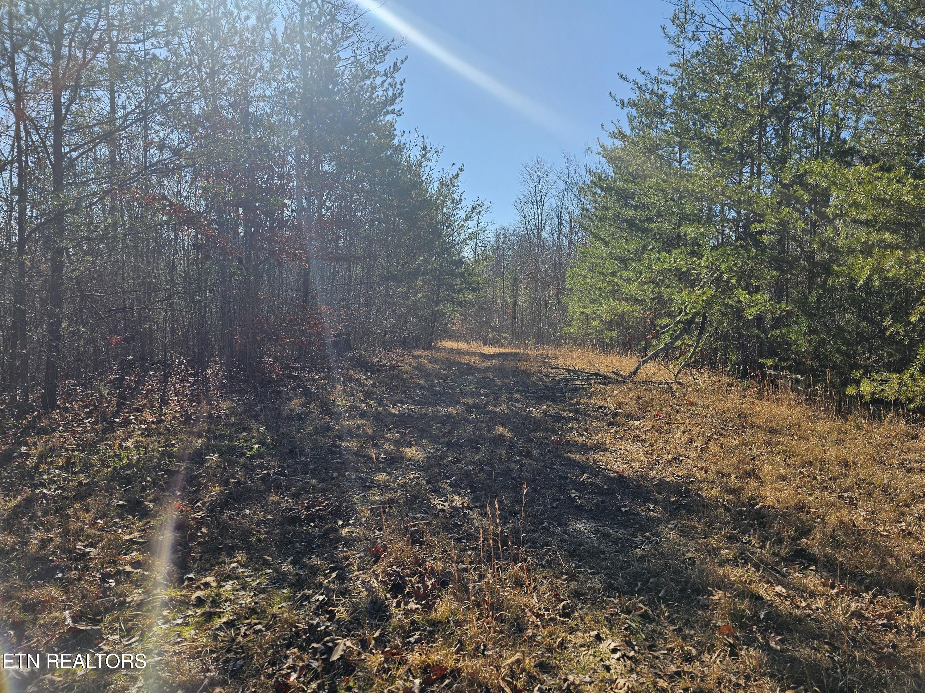 Genesis Road Lancing, TN 37770 - Photo 13 of 58 20251219_114941