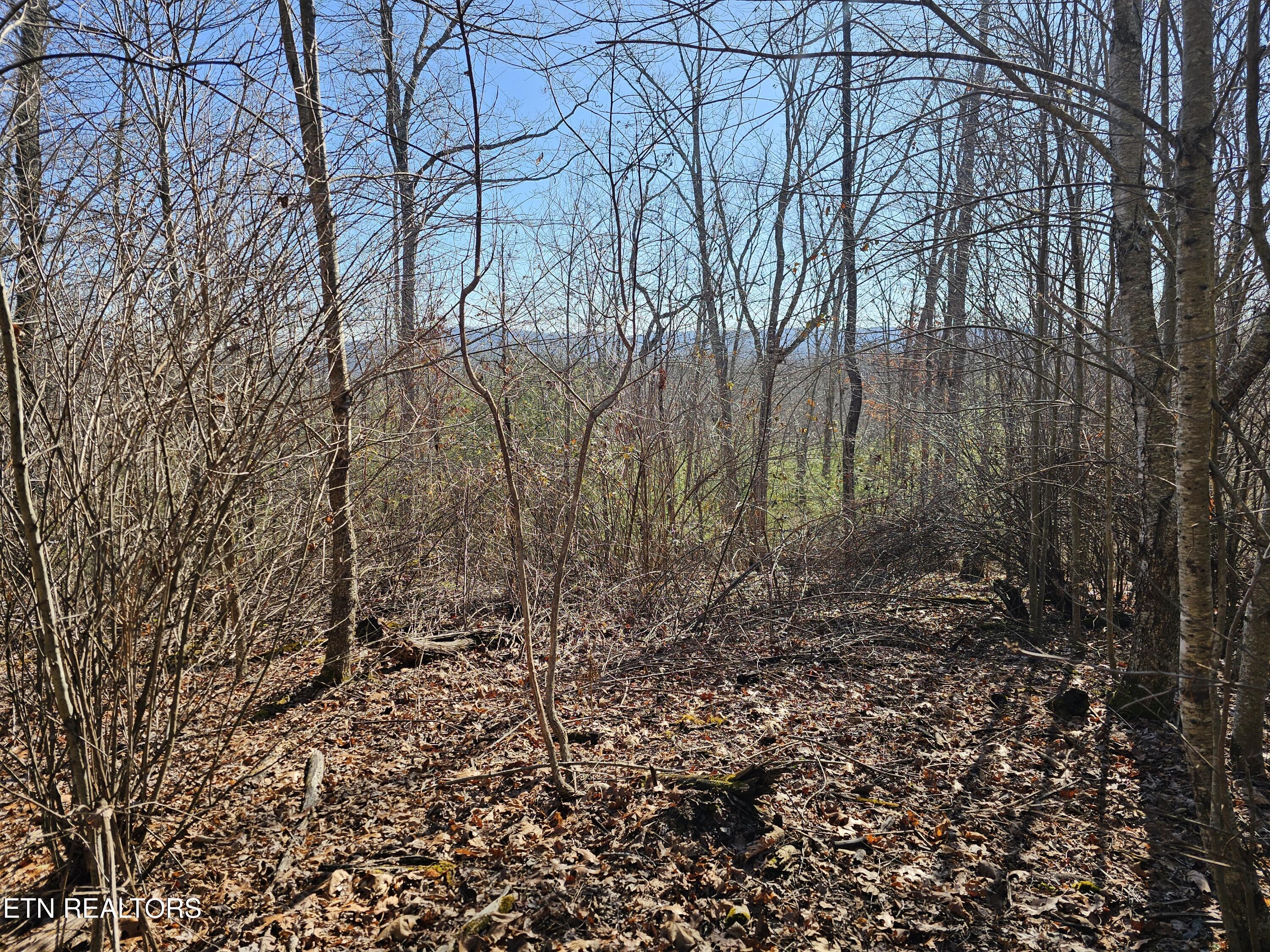 Genesis Road Lancing, TN 37770 - Photo 15 of 58 20251219_115342