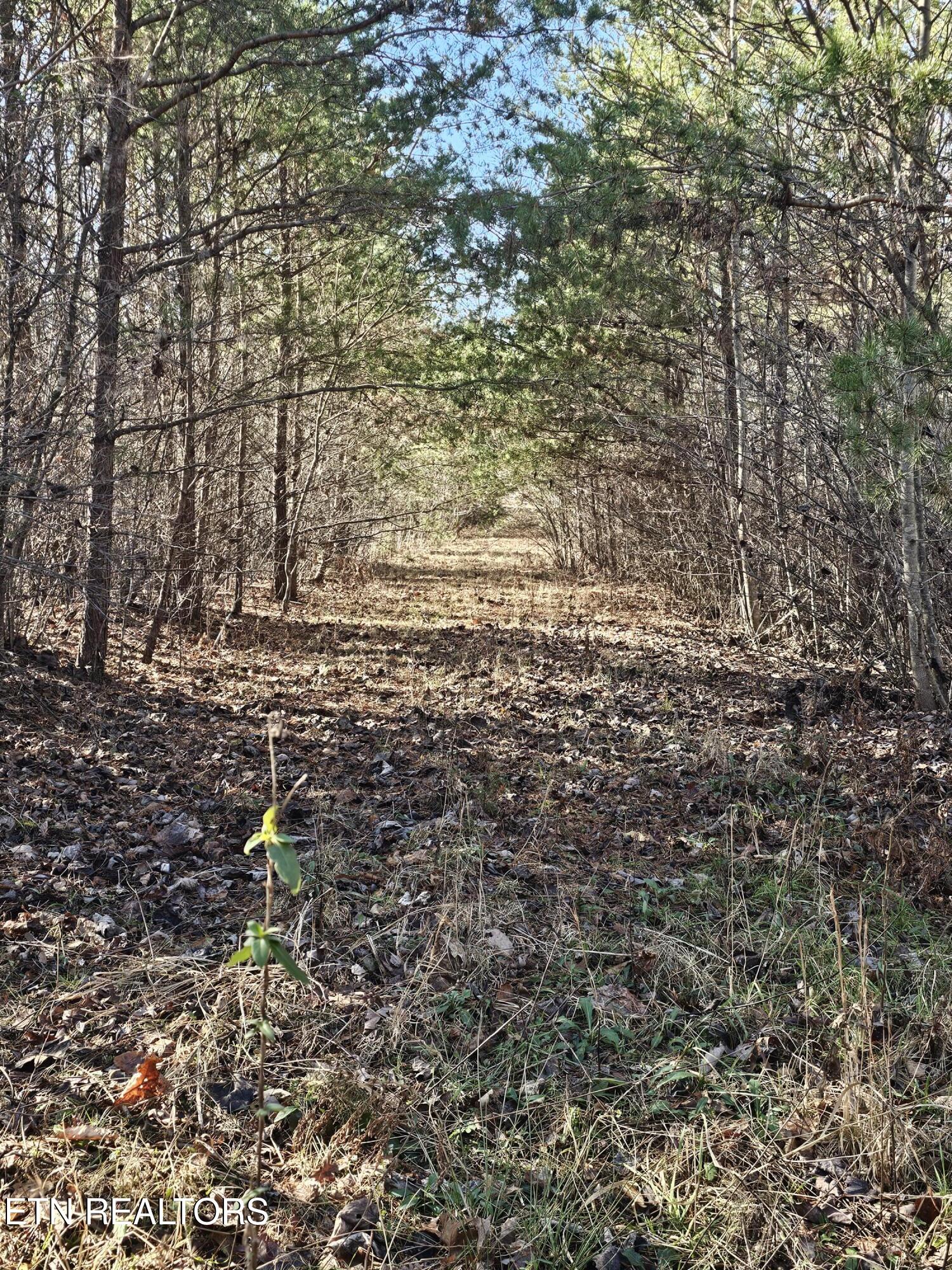 Genesis Road Lancing, TN 37770 - Photo 20 of 58 20251219_115625