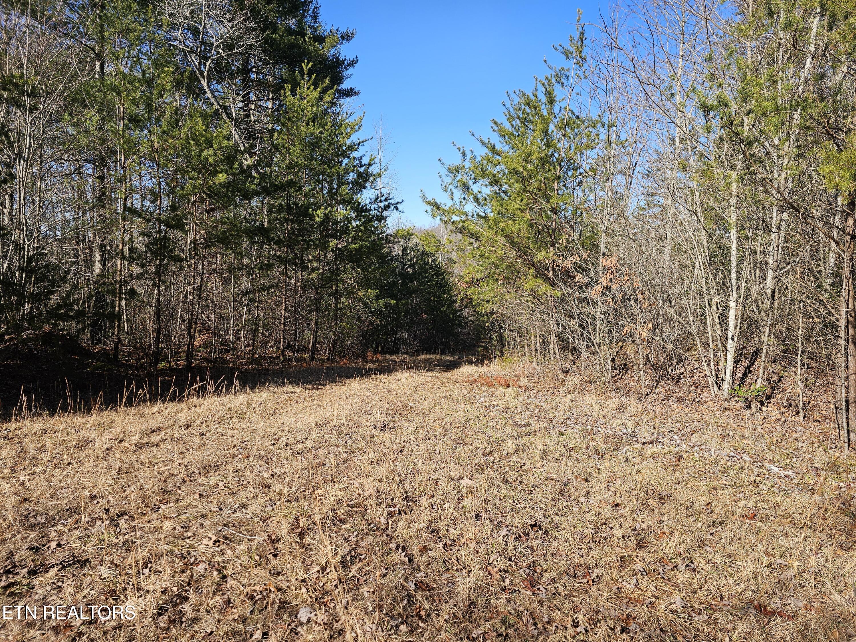 Genesis Road Lancing, TN 37770 - Photo 24 of 58 20251219_115831