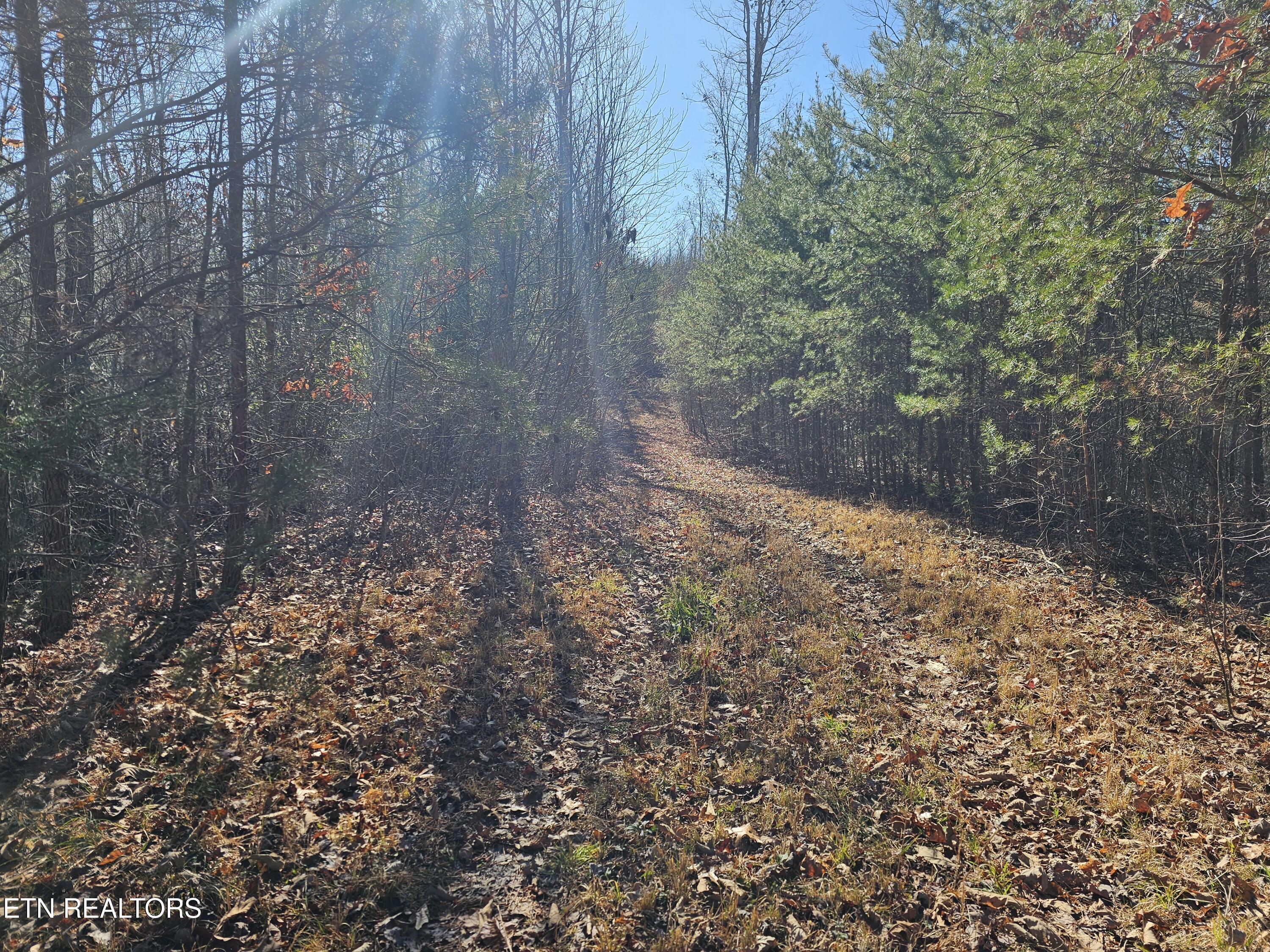 Genesis Road Lancing, TN 37770 - Photo 26 of 58 20251219_120009