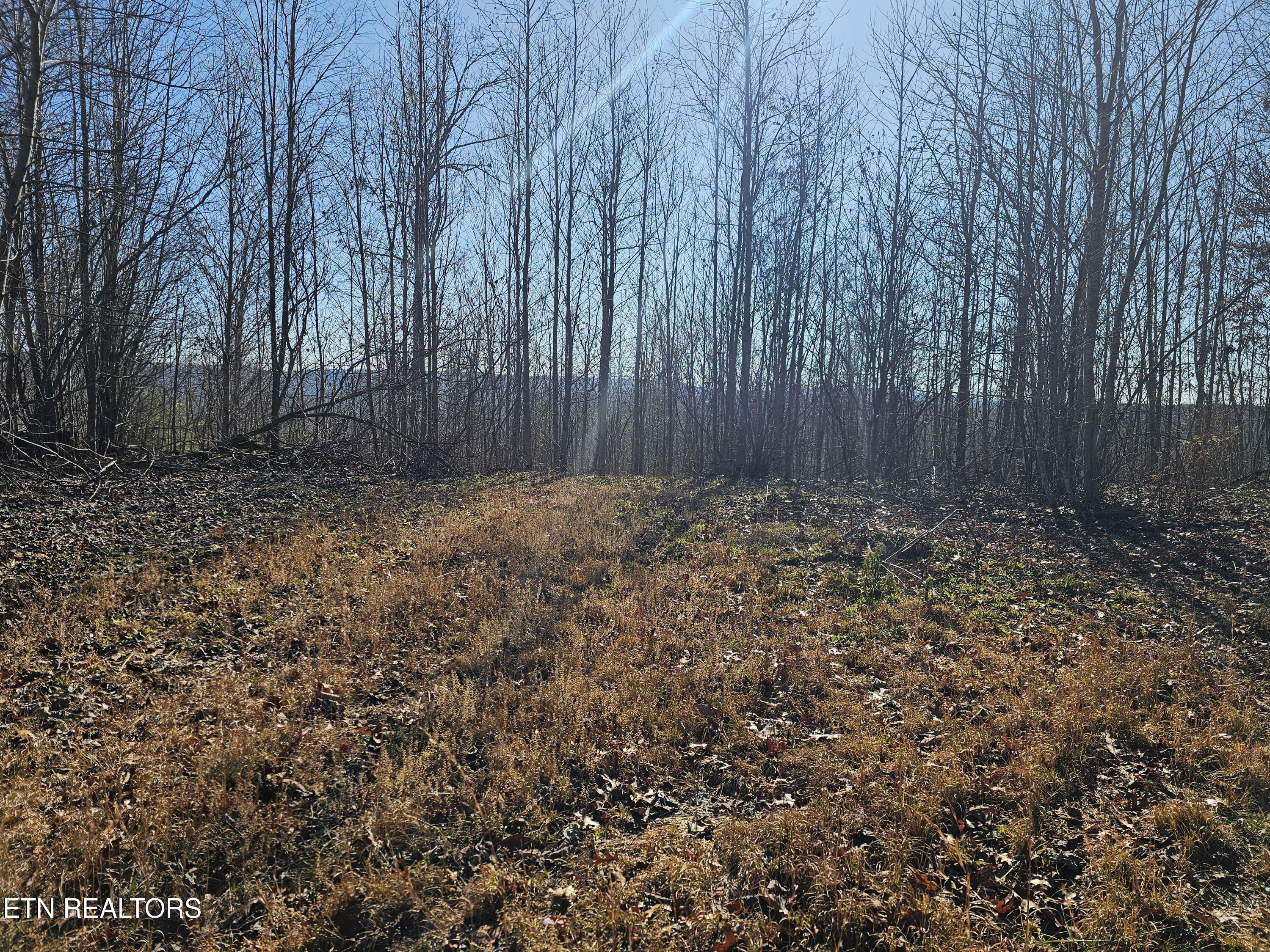 Genesis Road Lancing, TN 37770 - Photo 29 of 58 20251219_120507