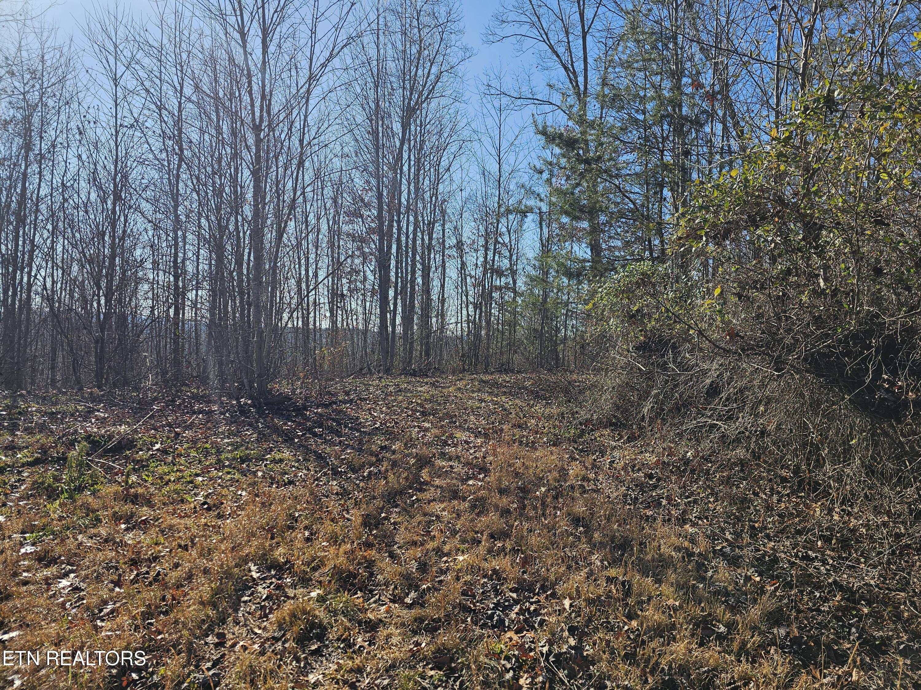 Genesis Road Lancing, TN 37770 - Photo 30 of 58 20251219_120509