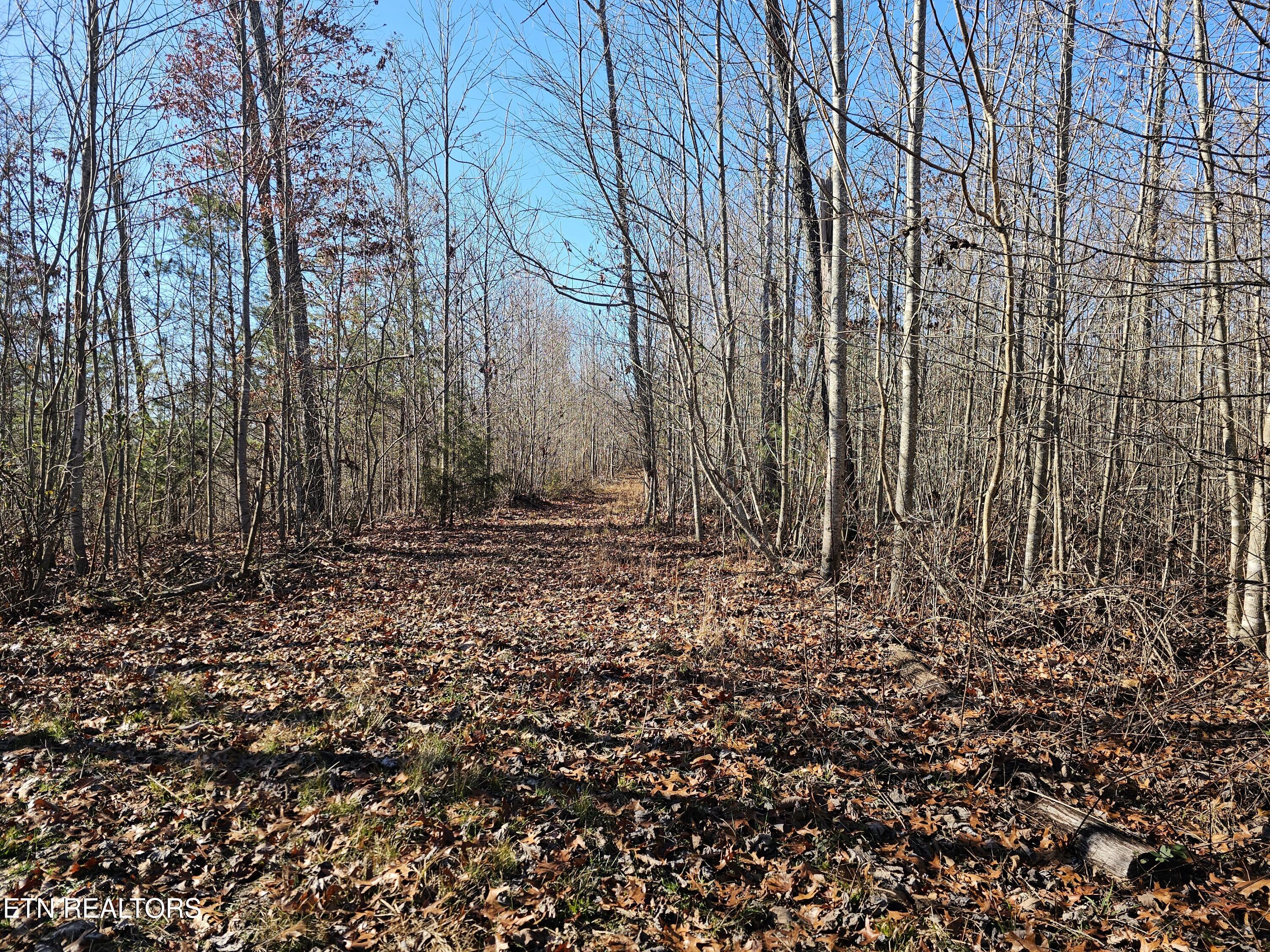 Genesis Road Lancing, TN 37770 - Photo 31 of 58 20251219_120525