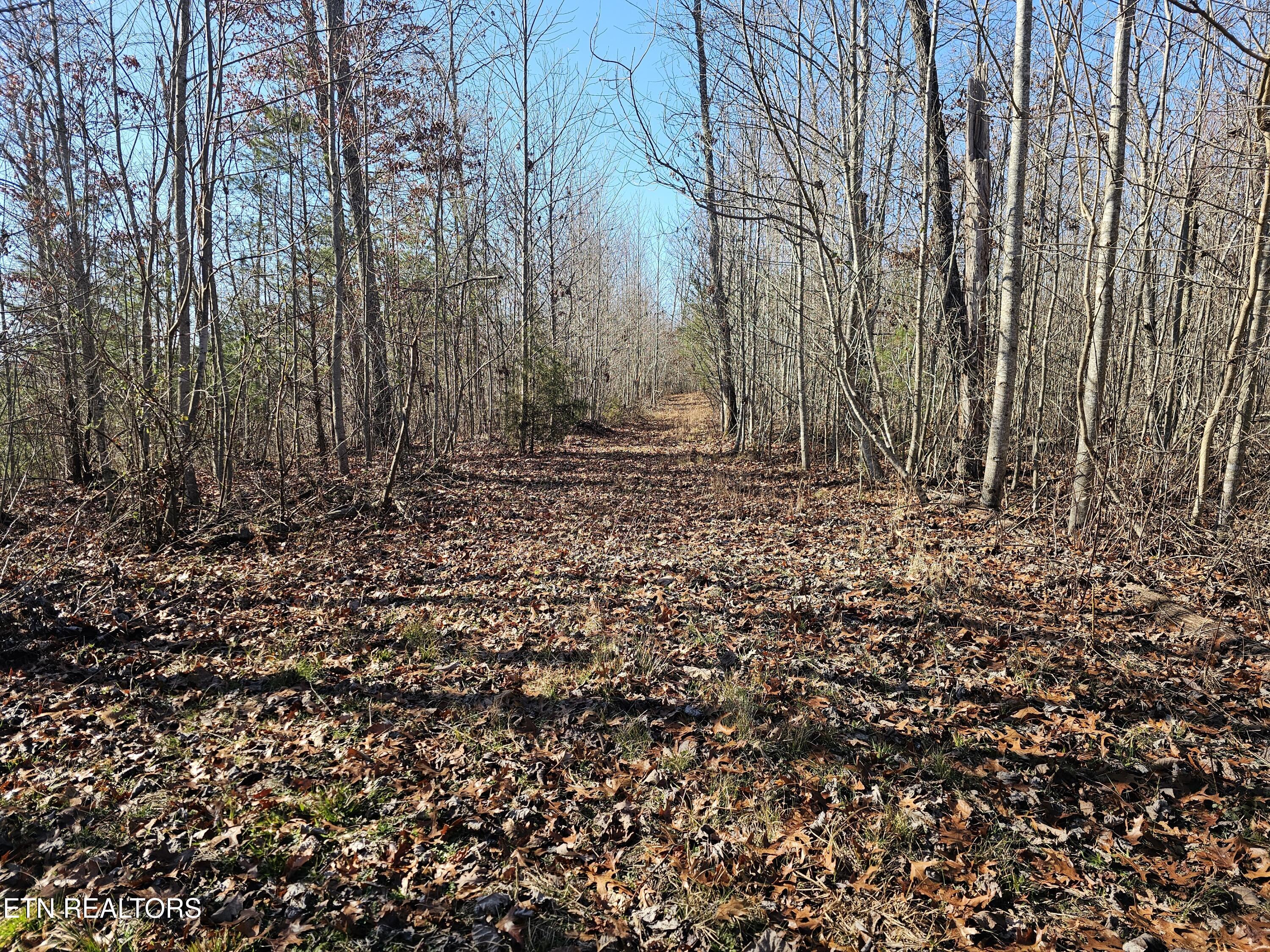 Genesis Road Lancing, TN 37770 - Photo 32 of 58 20251219_120529