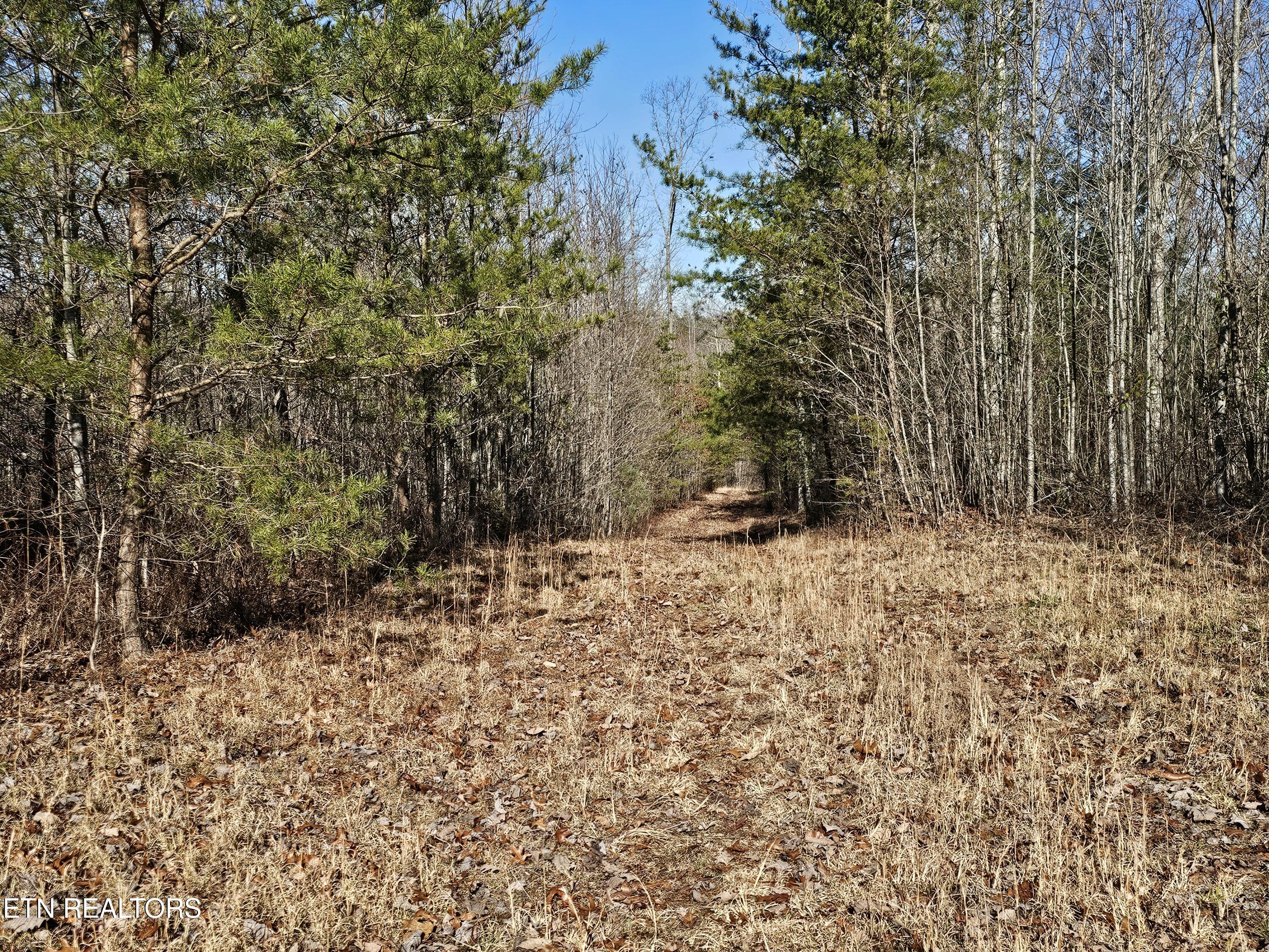 Genesis Road Lancing, TN 37770 - Photo 35 of 58 20251219_120634