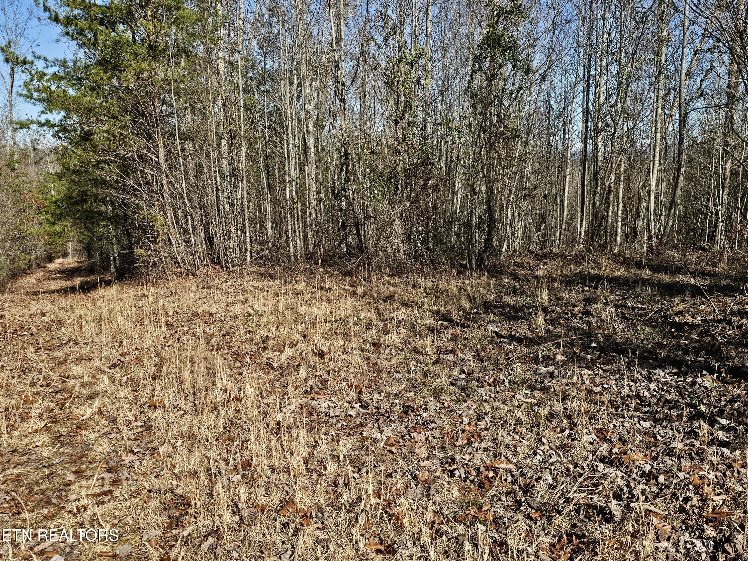 Genesis Road Lancing, TN 37770 - Photo 37 of 58 20251219_120639