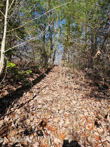 $425,000 | Genesis Road, Lancing, TN 37770