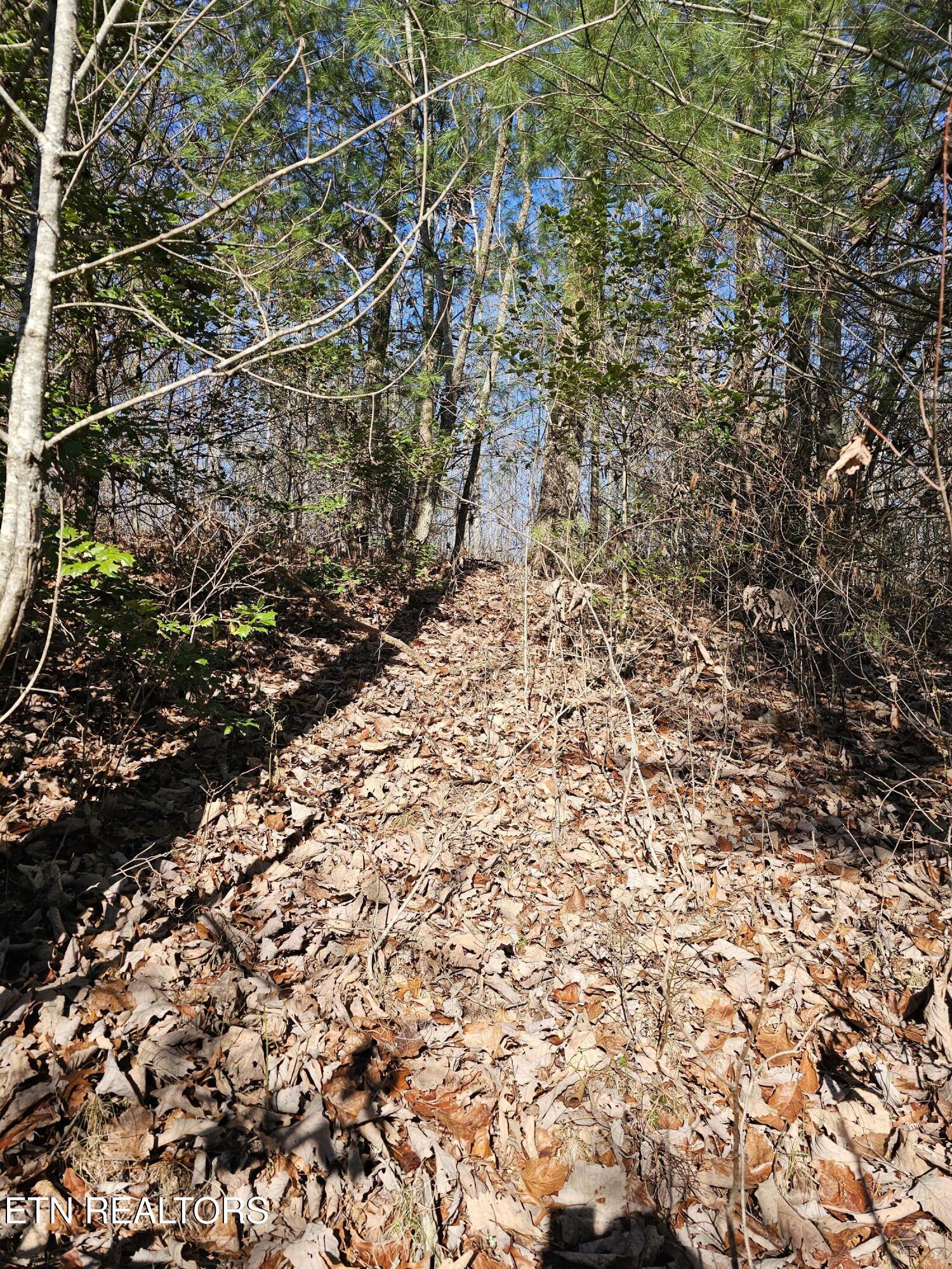 Genesis Road Lancing, TN 37770 - Photo 39 of 58 20251219_121403