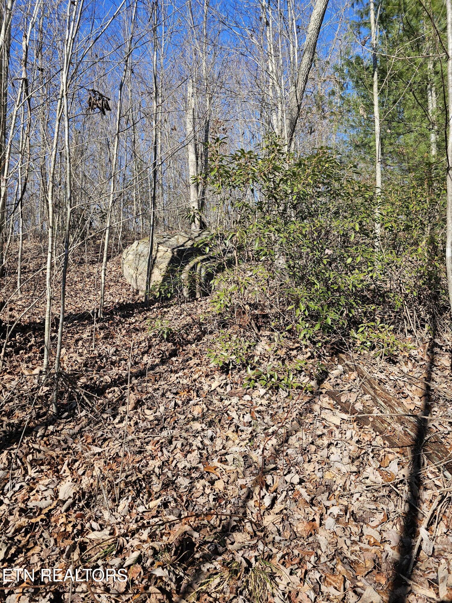 Genesis Road Lancing, TN 37770 - Photo 41 of 58 20251219_121512