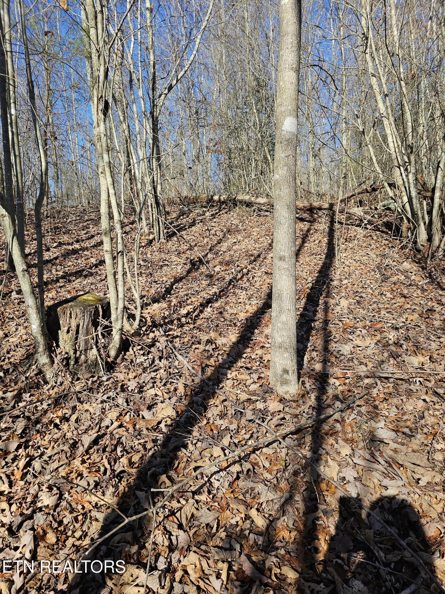 Genesis Road Lancing, TN 37770 - Photo 43 of 58 20251219_121626