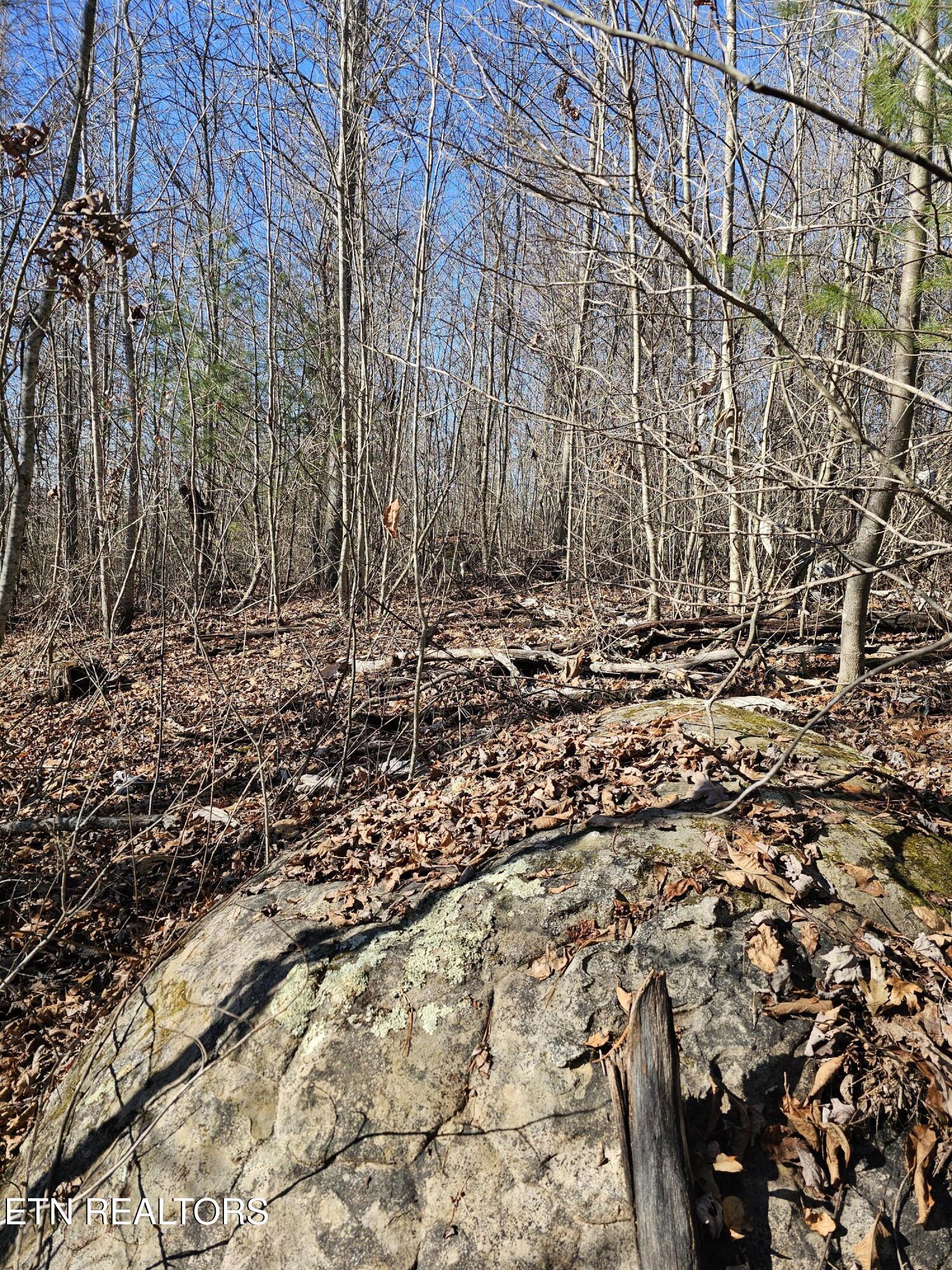 Genesis Road Lancing, TN 37770 - Photo 44 of 58 20251219_121708