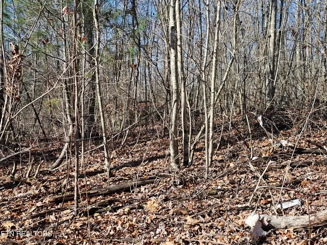 $425,000 | Genesis Road, Lancing, TN 37770