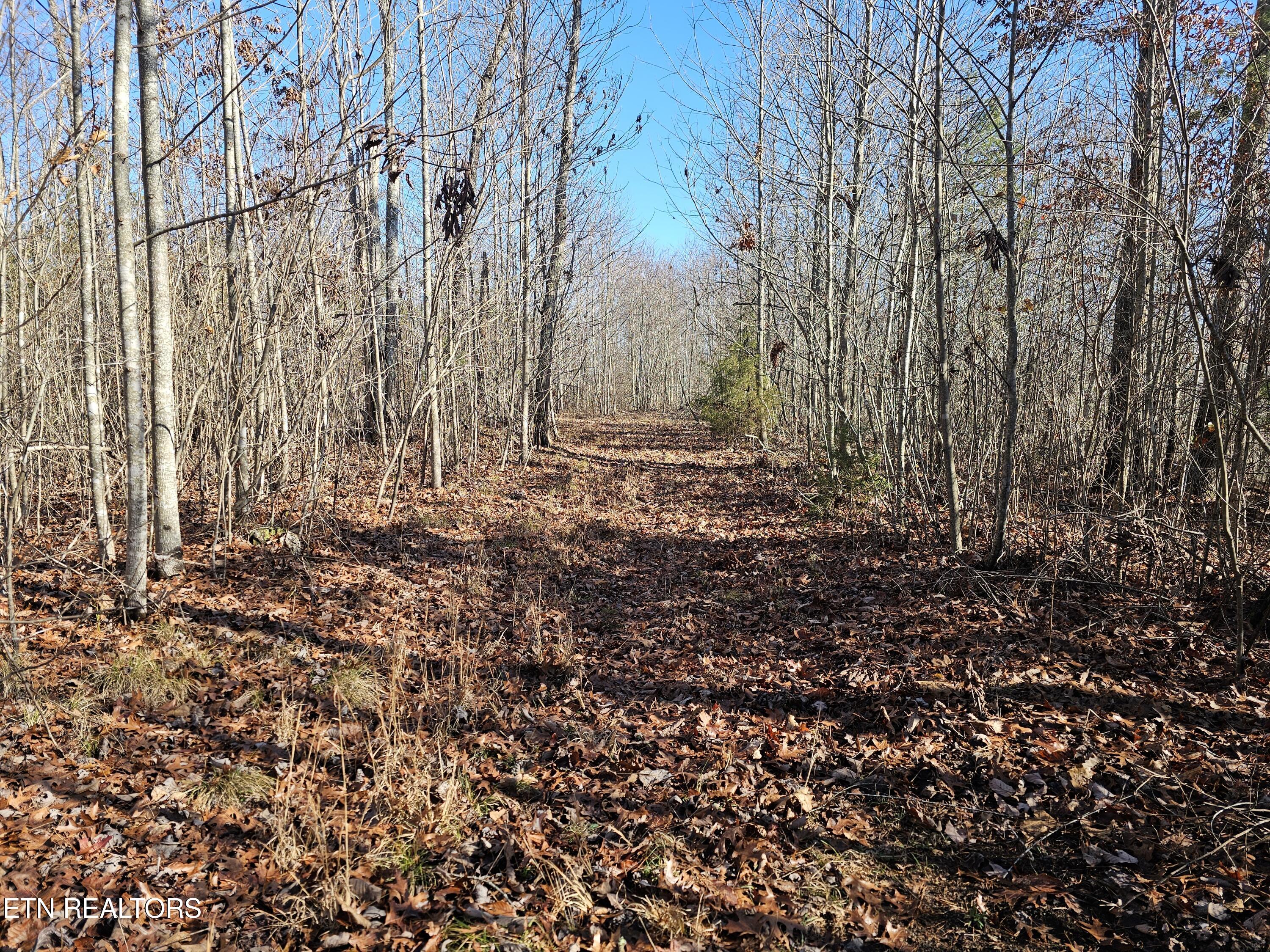 Genesis Road Lancing, TN 37770 - Photo 47 of 58 20251219_122610