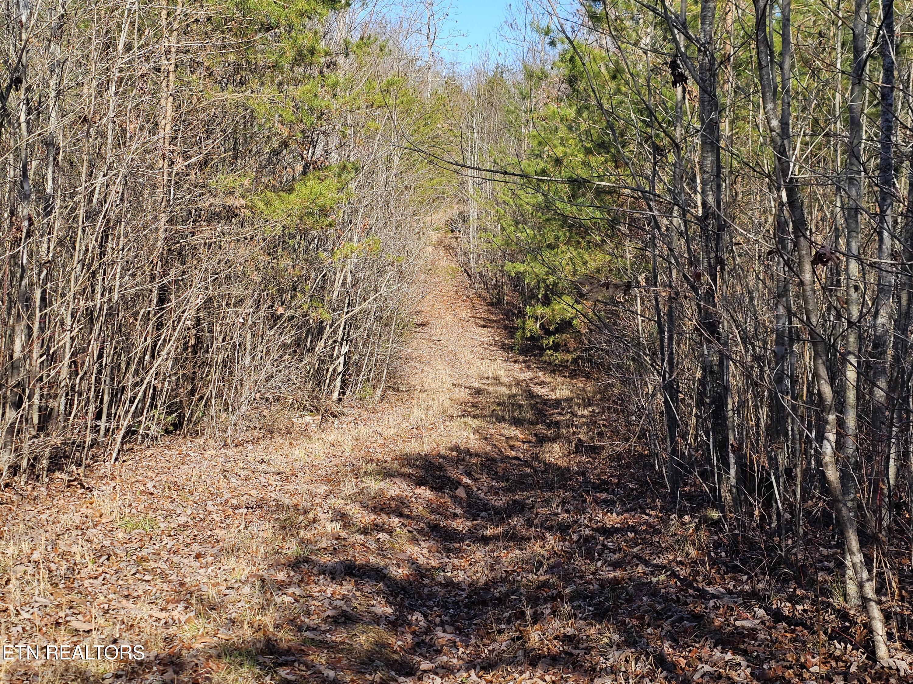 Genesis Road Lancing, TN 37770 - Photo 49 of 58 20251219_123018