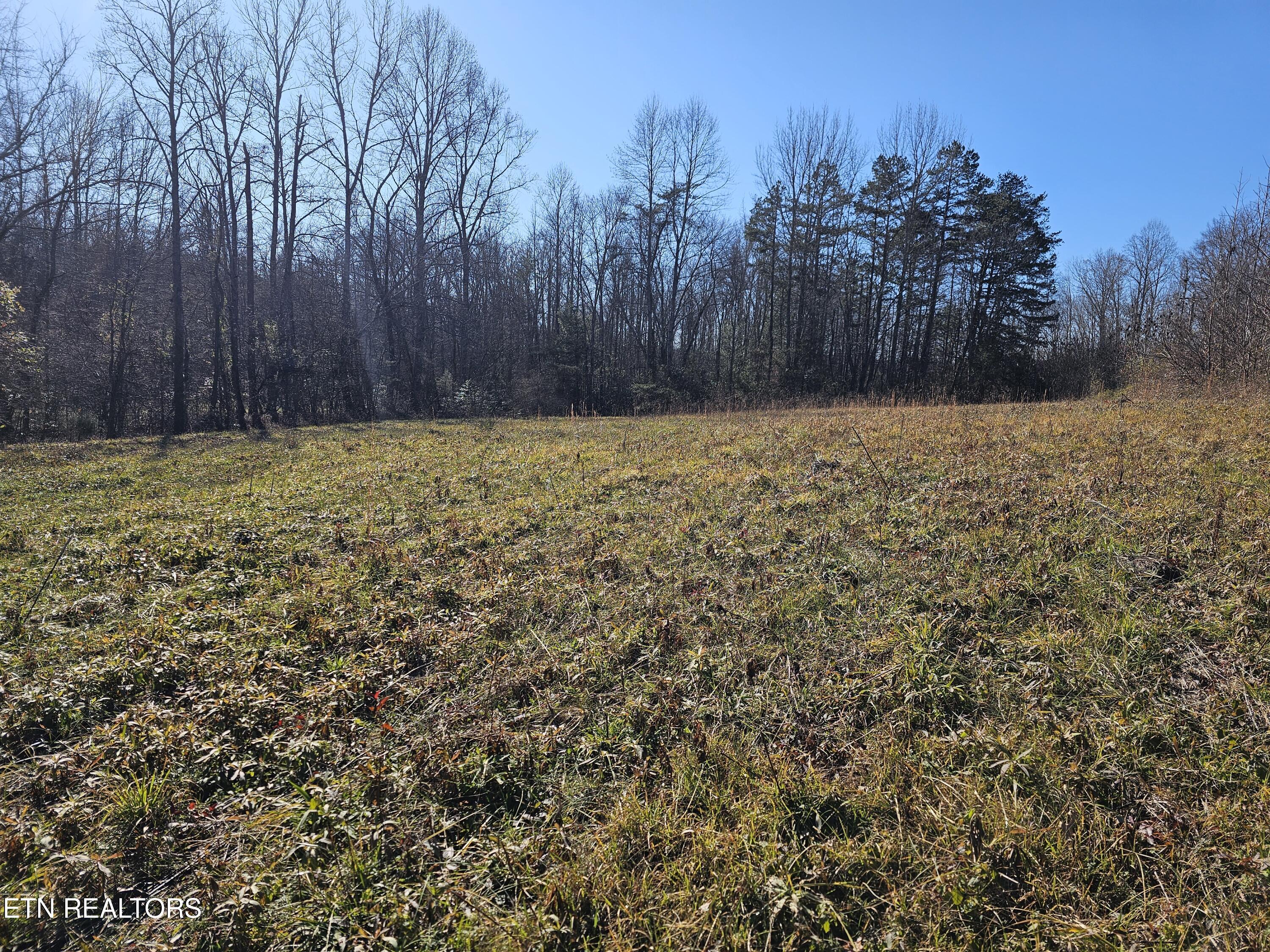 Genesis Road Lancing, TN 37770 - Photo 5 of 58 20251219_124819