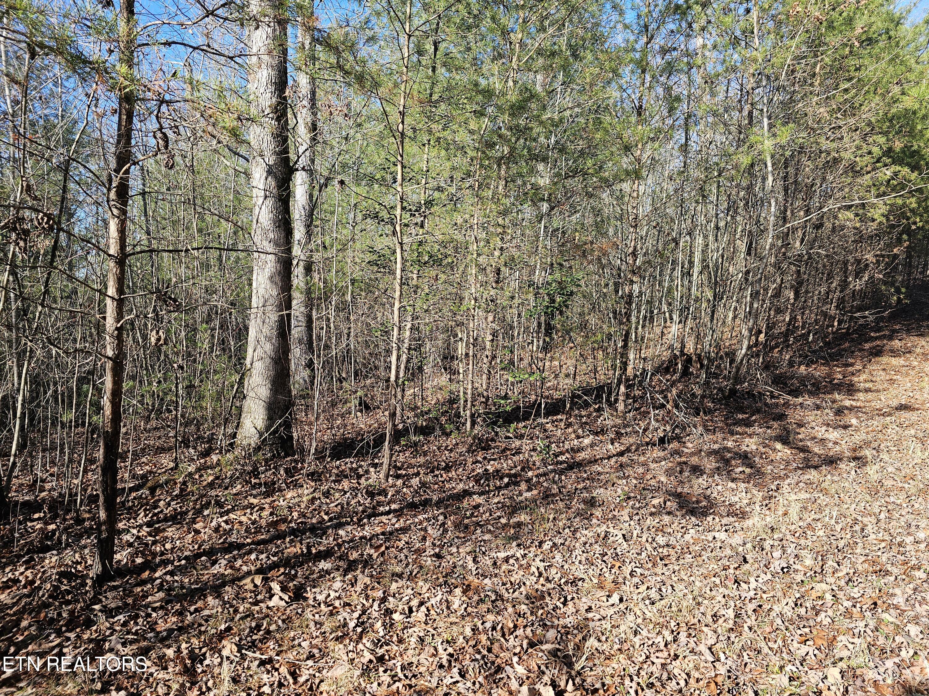 Genesis Road Lancing, TN 37770 - Photo 52 of 58 20251219_123114