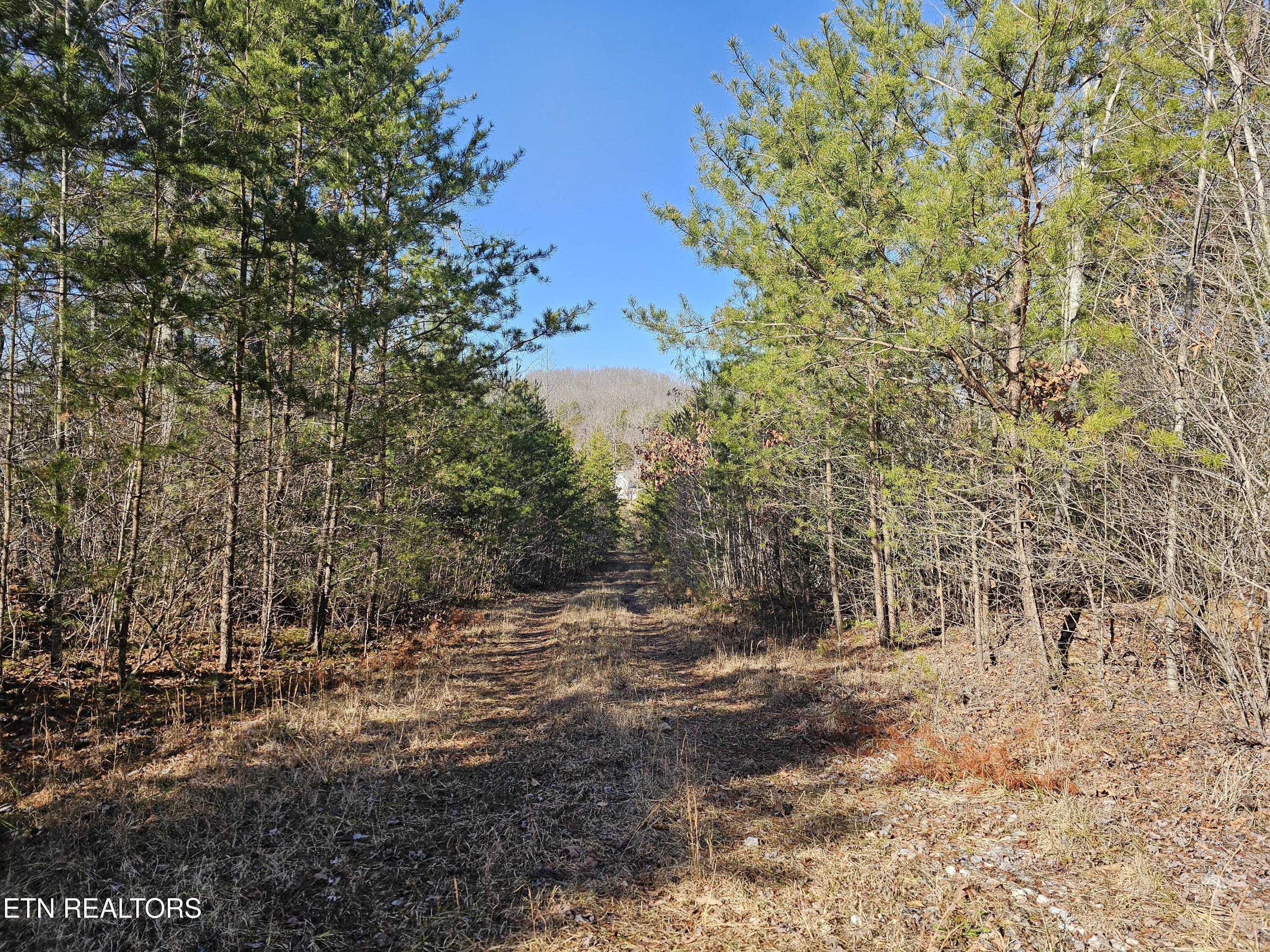 Genesis Road Lancing, TN 37770 - Photo 54 of 58 20251219_123532